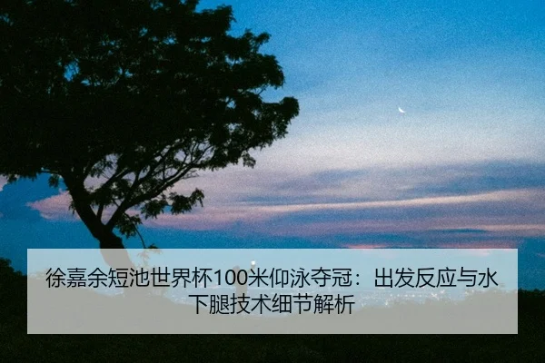 xu-jia-yu-duan-chi-shi-jie-bei-mi-yang-yong-duo-guan-chu-fa-fan-ying-yu-shui-xia-tui-ji-shu-xi-jie-jie-xi-3-831.jpg
